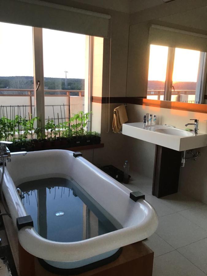 Panorama Apartment ドルスキニンカイ エクステリア 写真